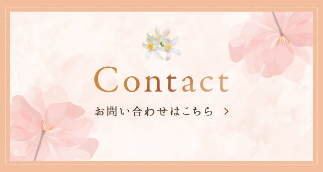 sp_bn_contact